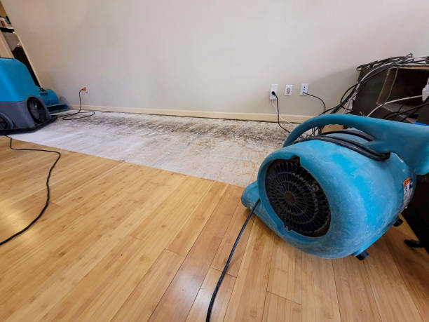 Professional Flood Damage Cleanup technician working in Bellport, NY